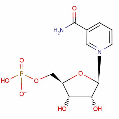 基因港王骏教授:聊聊维生素那些事