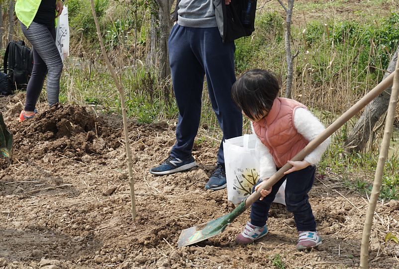 条儿要新，苗儿要青！“2019中威百万森林计划”上海站圆满结束