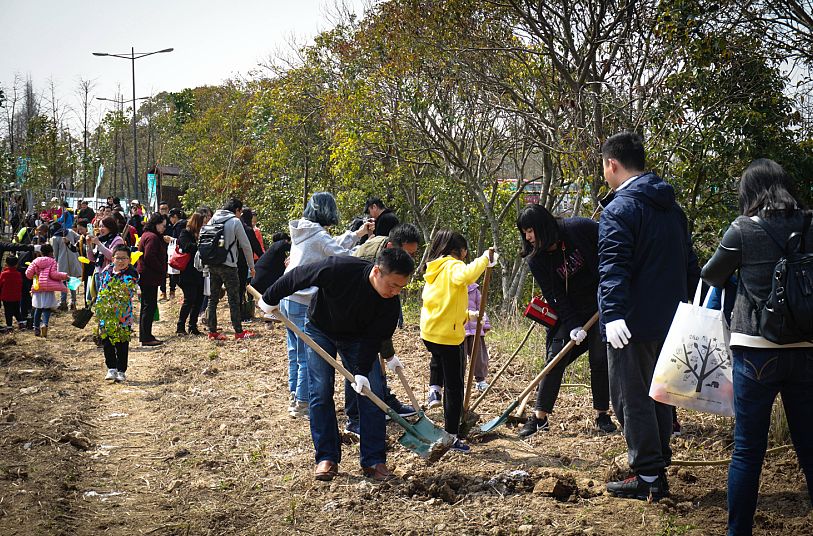 条儿要新，苗儿要青！“2019中威百万森林计划”上海站圆满结束