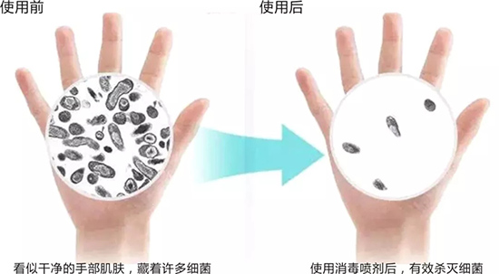 卫斯理消毒产品上市【疫情防控背后的力量】
