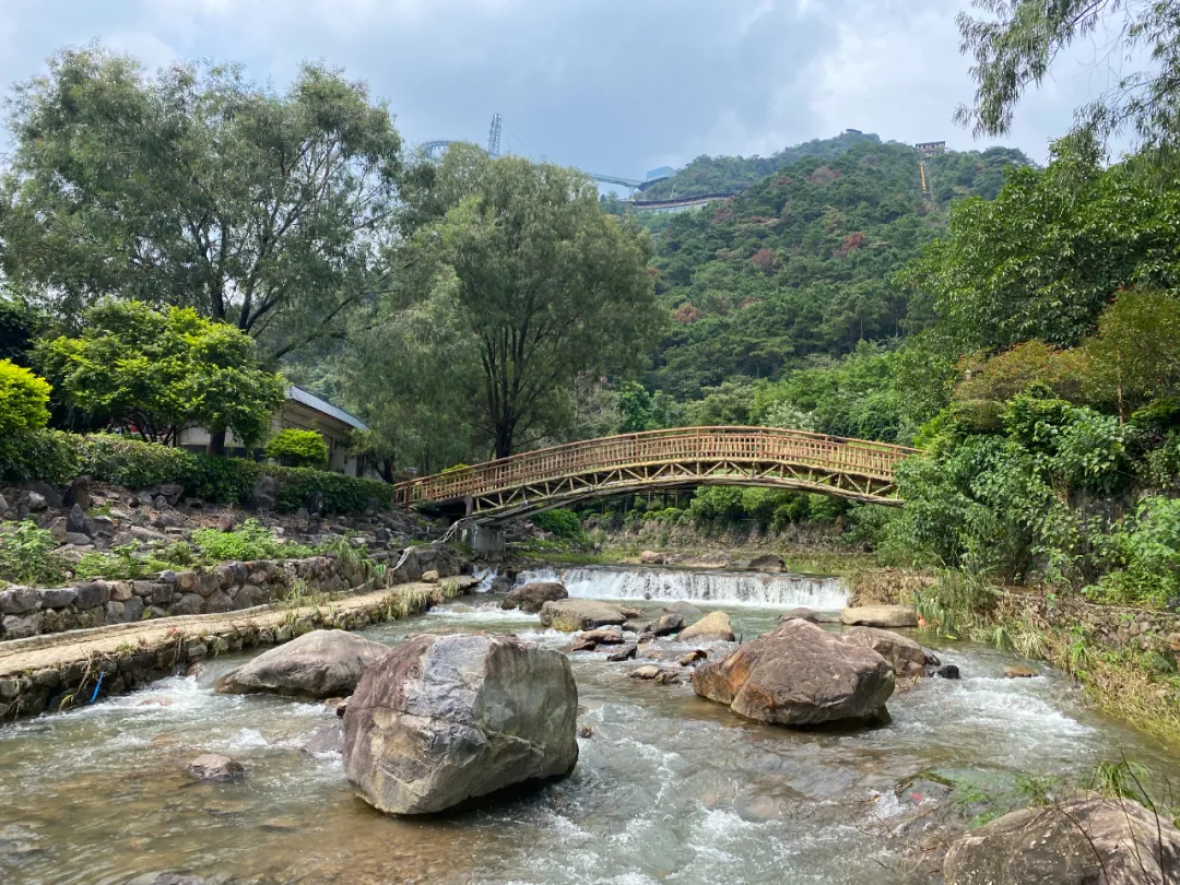 夏日团建圆满成功｜中国·鼎易24周年黄腾峡漂流奋进之旅精彩回顾