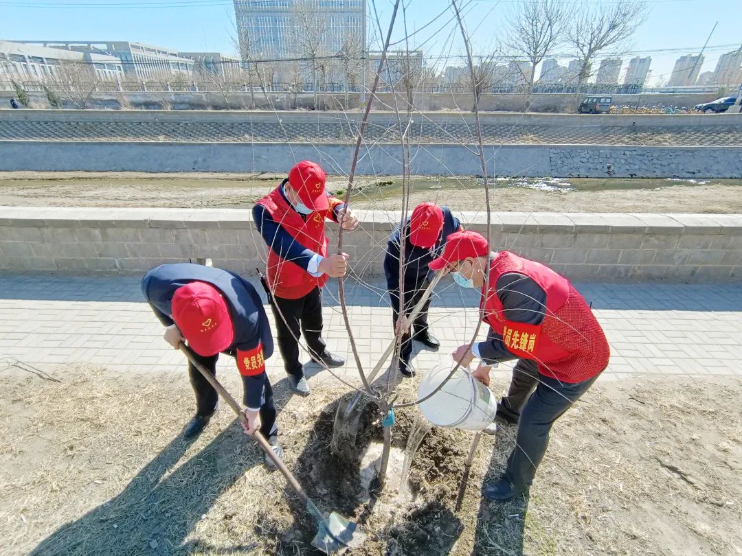 党建引领，增“绿”添彩——五方天雅党支部组织党员进行植树活动