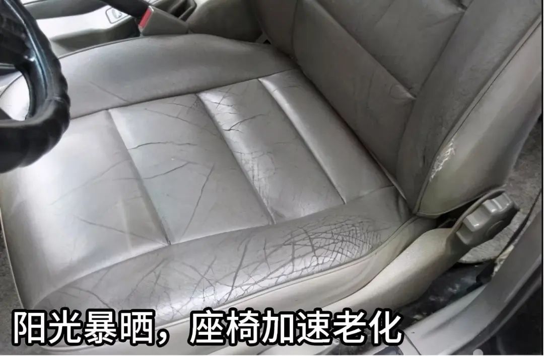 春日出行，如何告别“明媚的忧伤”？