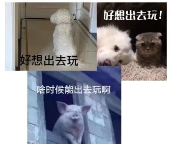 告别21世纪赛博朋克式打猎，我们为您准备了一份疫情囤货指南...