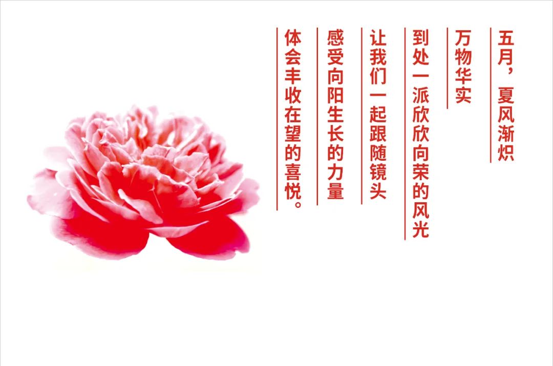 卫斯理5月份员工生日汇【企业文化】