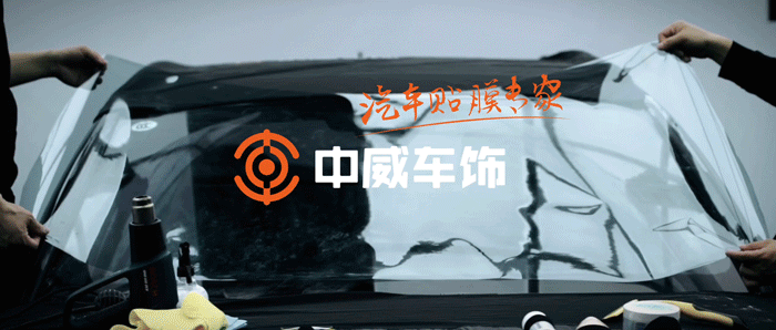 购车正当时丨萌新车主速成有技巧