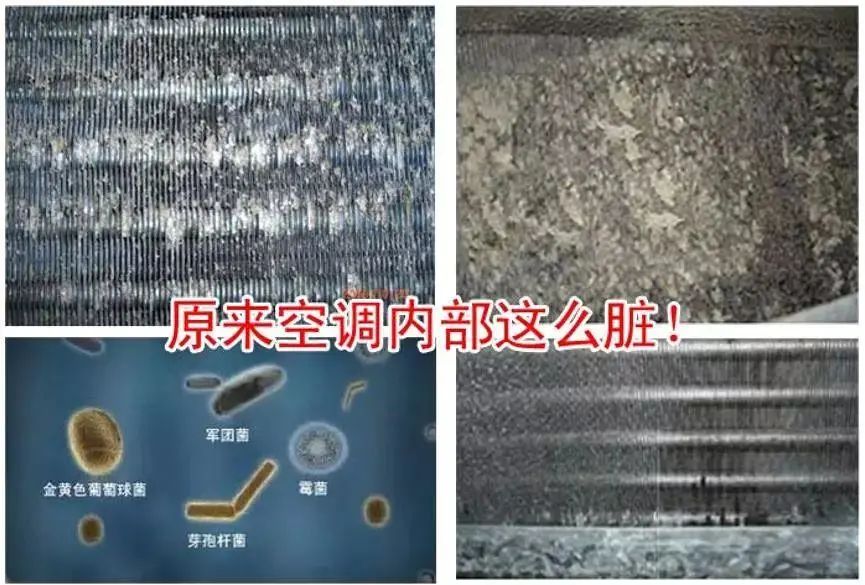 汽车空调清洗杀菌很重要，好顺科技带您直观“精洗”服务