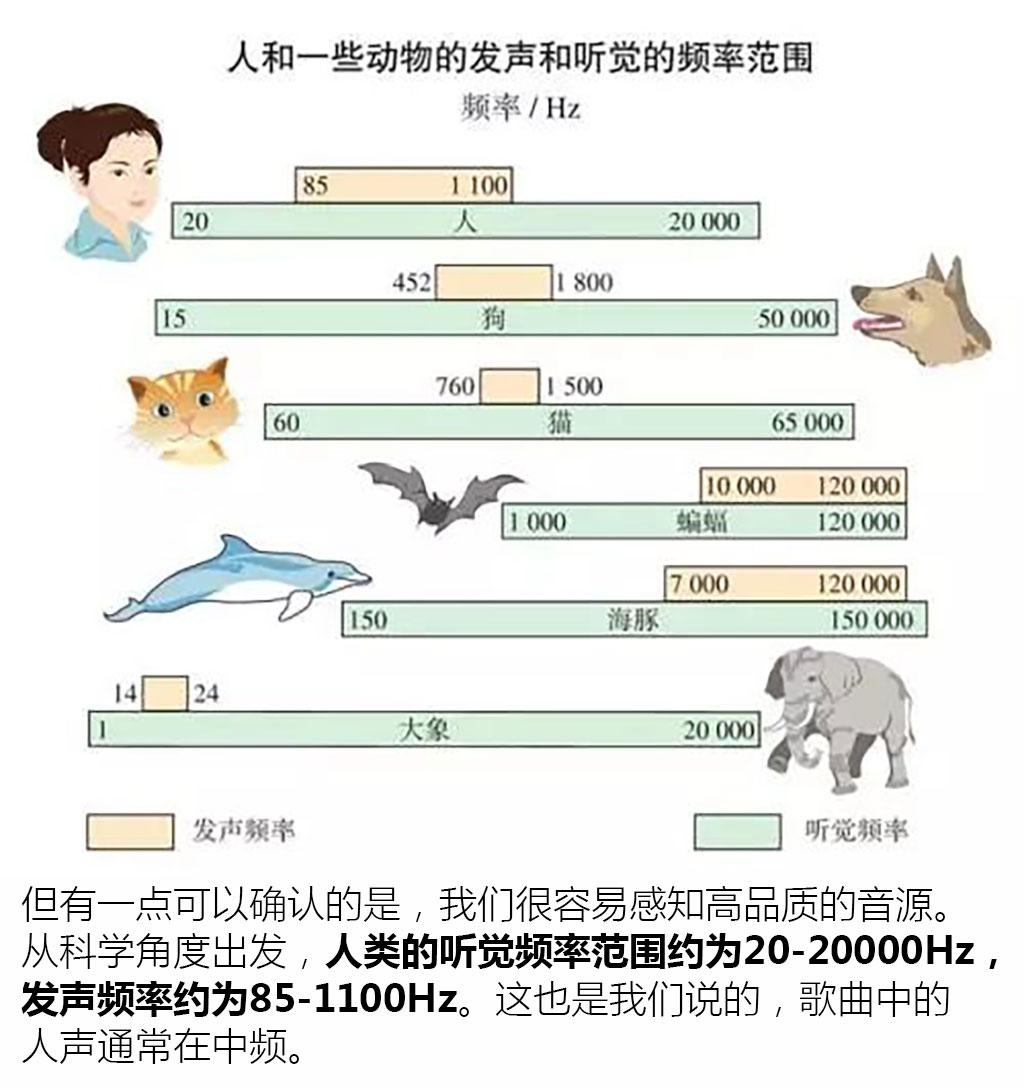 从入门到劝退 汽车音响升级思路全解析