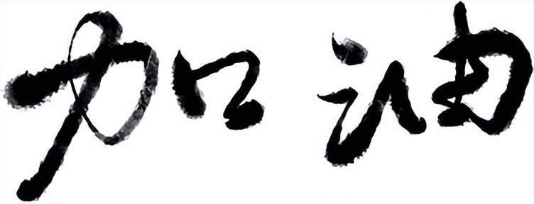 广东膜界精英出动！群英荟萃,各放光彩！