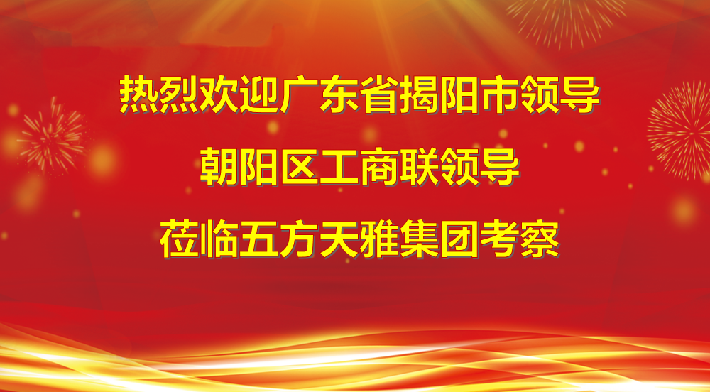 广东省揭阳市领导及北京市朝阳区工商联领导莅临五方天雅集团考察
