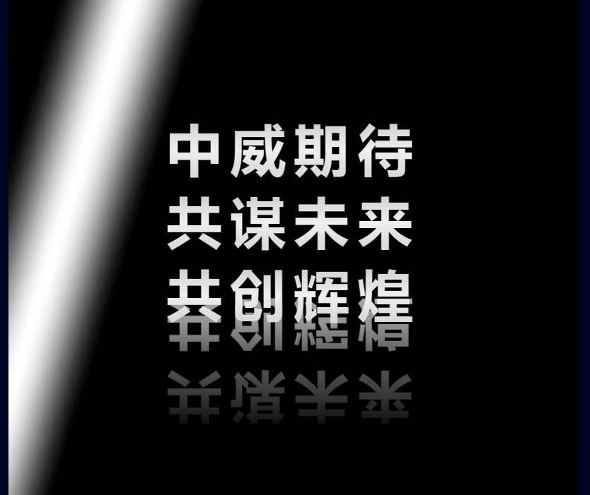11月13日丨中威车饰第十八届年会盛典第一天！
