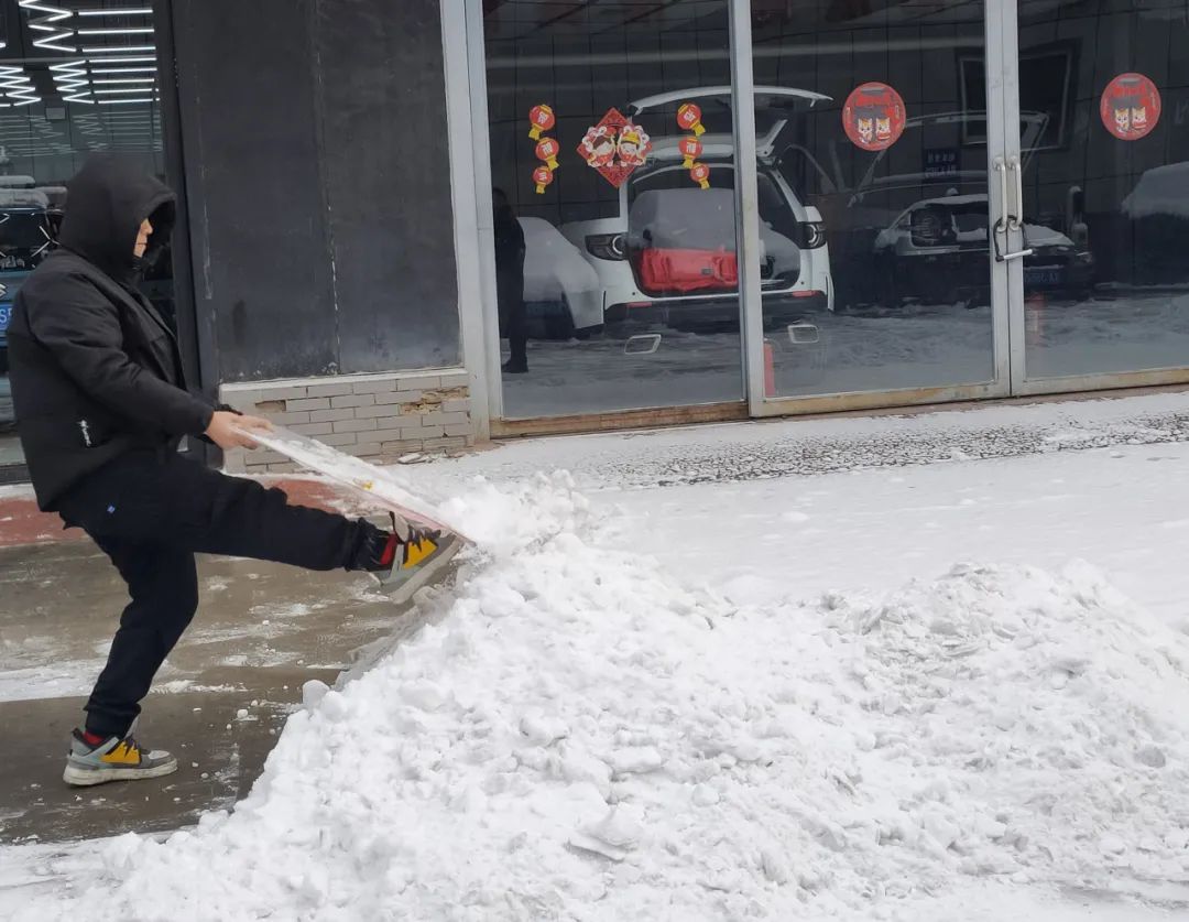 龙年瑞雪兆丰年，所念皆如愿