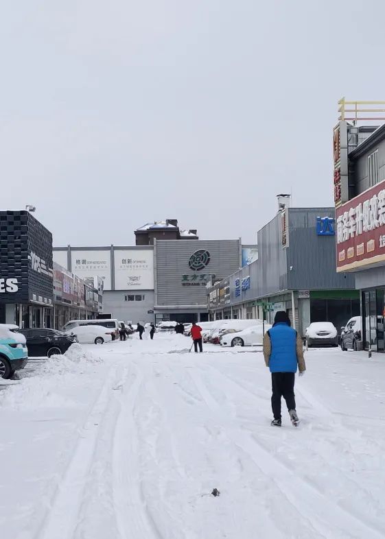 龙年瑞雪兆丰年，所念皆如愿