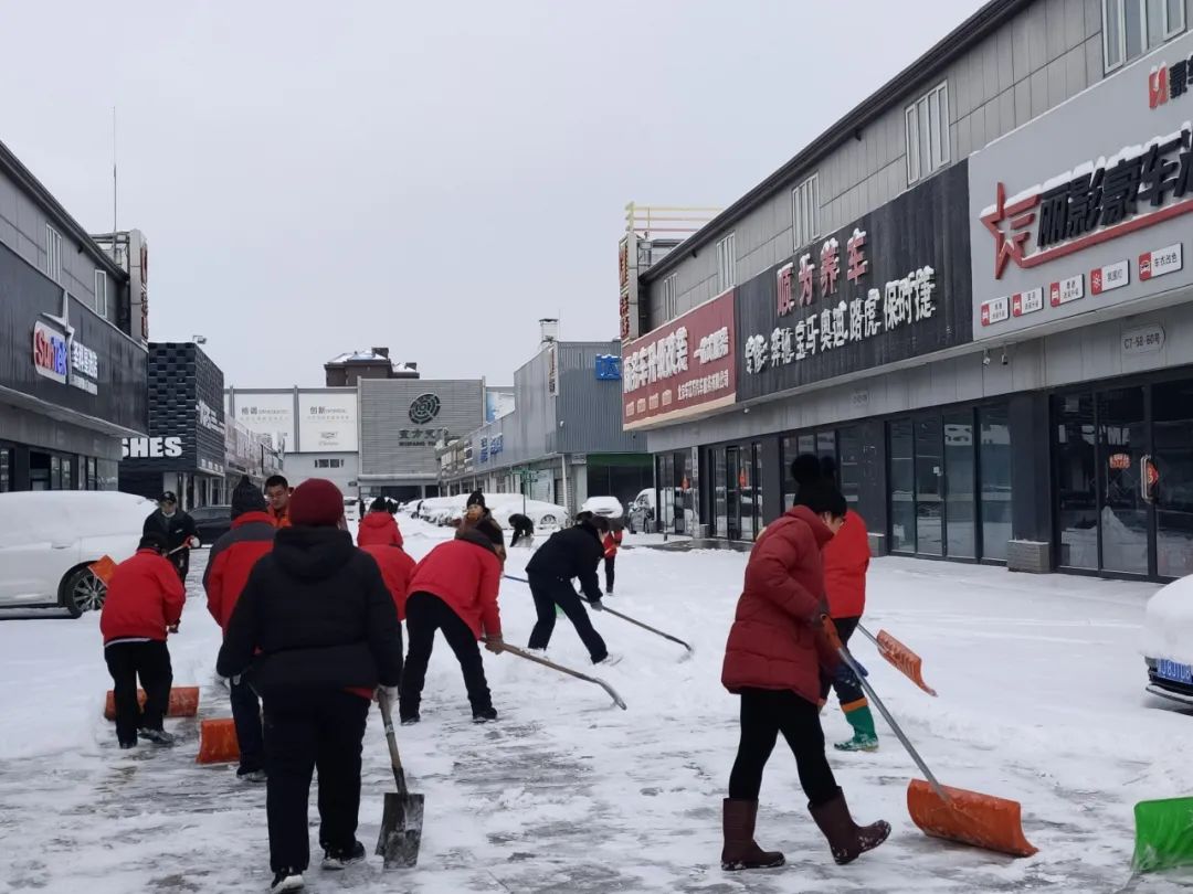 龙年瑞雪兆丰年，所念皆如愿