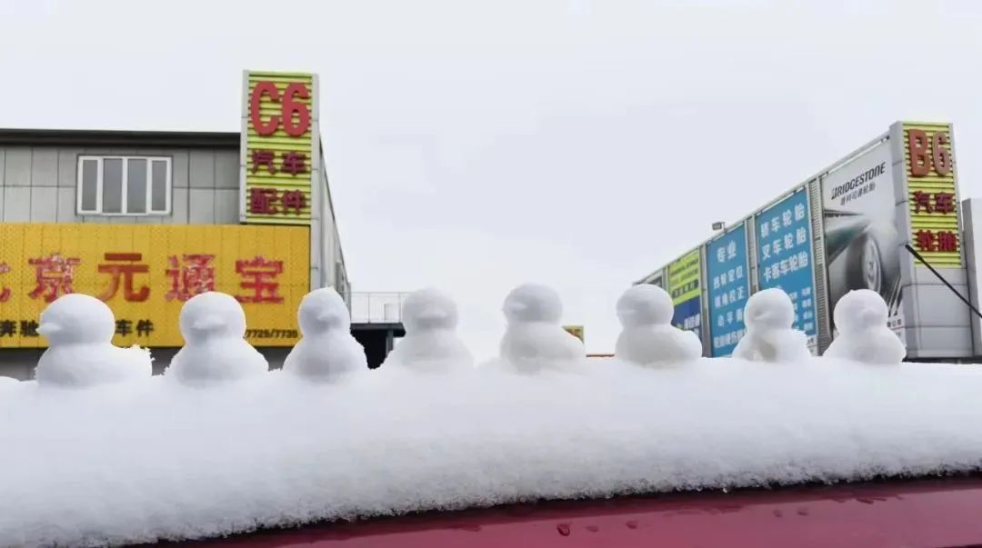 龙年瑞雪兆丰年，所念皆如愿