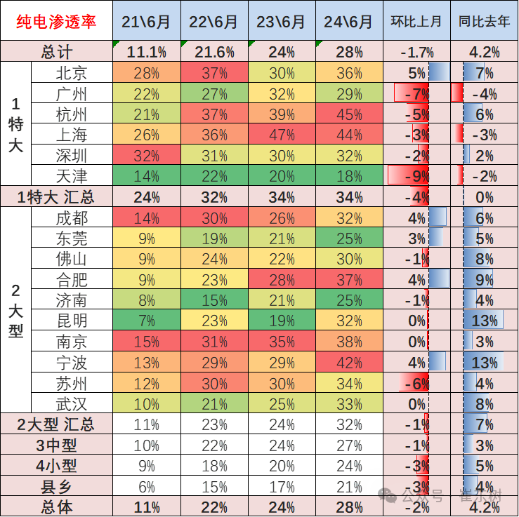 2024年6月新能源车区域市场分析